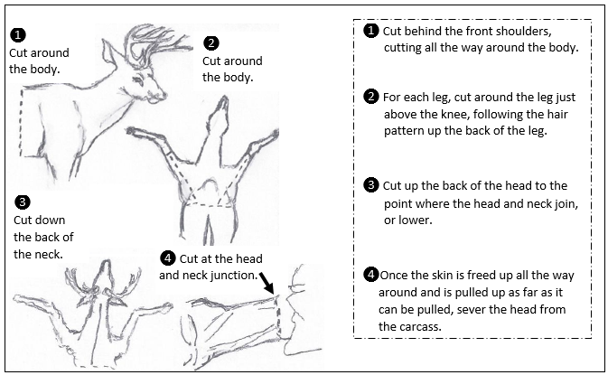 caping-for-shoulder-mount